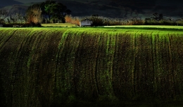 Waterfall green fields 