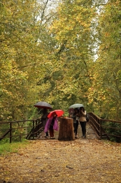 Balada à chuva 