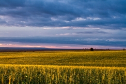 Alentejo 