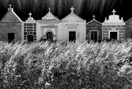 Corsica cemetery 