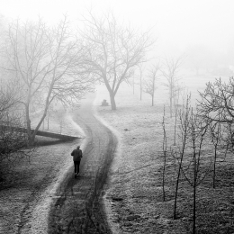 Passeio matinal 