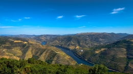 Douro Vinhateiro 