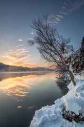 Alone in the lake 