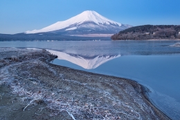 Icing Fuji 