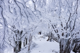 Rime tunnel 