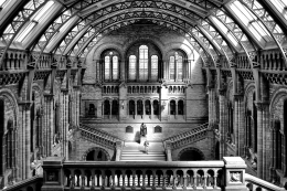 Natural History Museum 