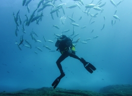 Dançando no Azul 