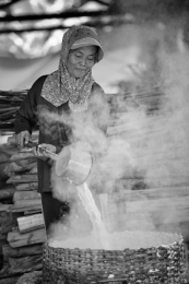 Coconut Sugar Maker 