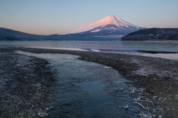 Fuji 