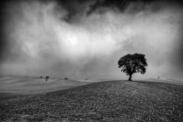 Alentejo 