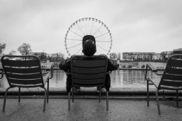 Head on a wheel 