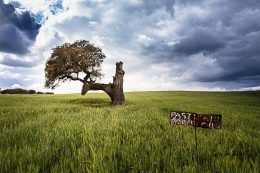 alentejo profundo 