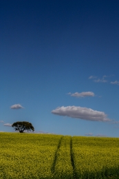 Alentejo 