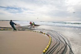 PESCADORES DE ARTE XÁVEGA 