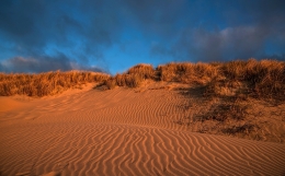 dunes 