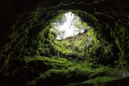  Inside a volcano (Azores- Portugal) 