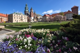 Wawel Palace 