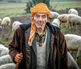 Shepherd-2 