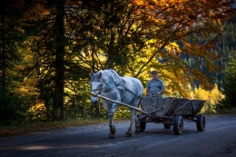 Maramures 