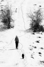 Footprints in the snow 