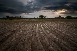 Line of Land 