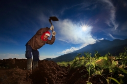 Indonesian Farmer 