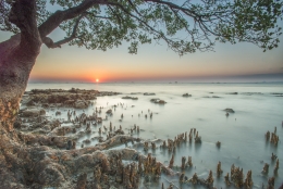 sunset Nunsui Beach Kupang NTT 