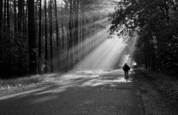 biker in sunlight 