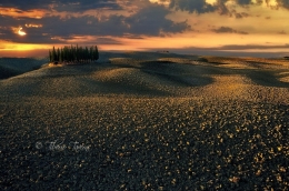 Dawn in Val of Orcia 