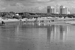 Baleal e o Surf 