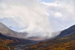 The rain's land 