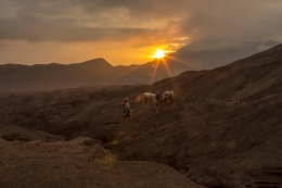 A Morning in Bromo  