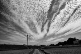 Mackerel Sky 