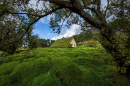 Turf church 