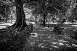 Jardim da Estrela - Lisboa 