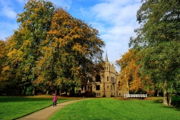 Autumn in the park 