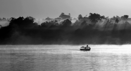 mentaya river 