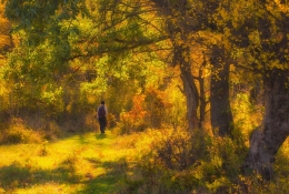 Autumn hiking 