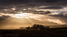 Rays of light 