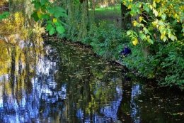 Fishing in Autumn 