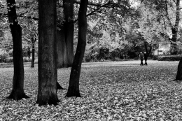 Conversation in the park 