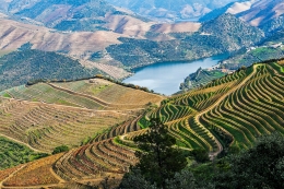 ALTO DOURO VINHATEIRO  