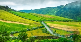 Ilha de S. Miguel - Açores 