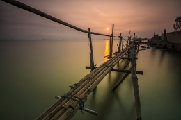 Bamboo Bridge 