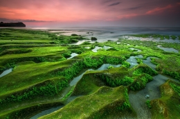 Green land 2 