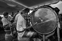 Traditional Musician 