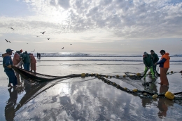 A PESCA DE CERCO - ARTE XÁVEGA 