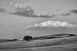 Alentejo landscape 