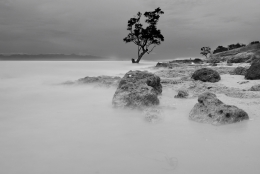 PANTAI PARADISO 