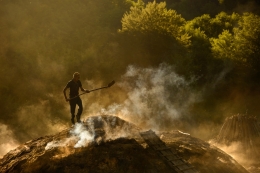 Charcoal maker in sunset light 